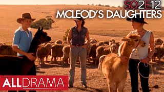 McLeods Daughters  Hounded  S02 EP12  All Drama [upl. by Nofets]