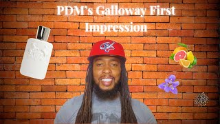 Parfum De Marlys Galloway First Impressions [upl. by Adlanor]