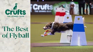 The Best of Flyball at Crufts [upl. by Samuel]