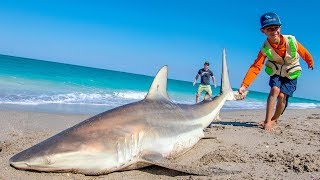 EPIC Day of Beach Fishing for Sharks and Pompano  Fan Episode  4K [upl. by Araem897]