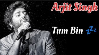 Tum Bin Arjit Singh Song  Slowed Reverb  Lofi Song Tum Bin  Arjit Singh slowed reverb song [upl. by Eellah893]