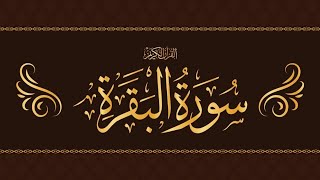 SurahAlBaqarah full surah fastrecitation  by Mishary Bin Rashid 🤲 [upl. by Arolf831]