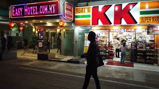 4K Walking Around Little India Brickfields Kuala Lumpur [upl. by Auqinahs]