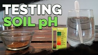 How to Test and Measure Your Soil pH at Home [upl. by Netaf]