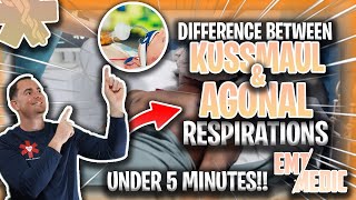 Kussmaul amp Agonal Respirations Explained [upl. by Desma212]