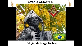 🎵🎷 Flauta ACÁCIA AMARELA  HOMENAGEM de Luiz Gonzaga à MAÇONARIA Edição de Jorge Nobre [upl. by Ettenoj]