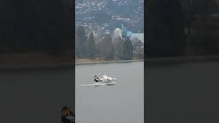 Seaplane takeoff🛩🌊 planes aviation avgeek seaplane takeoff landing watertakeoff waterlanding [upl. by Bertrando]