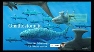 Lecture 7 Gnathostomata Jan 30 [upl. by Flori]