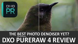 DxO PureRaw 4 Review  Just Hype [upl. by Mcmurry]