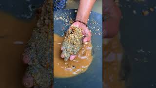 Found red roots mixed with red sand containing gold viral mininggold [upl. by Burger]