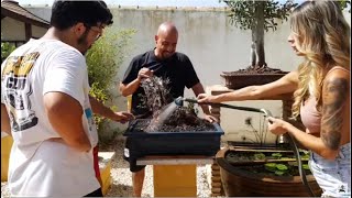 Taller de Bonsai 20 de julio 2024 [upl. by Arahd]