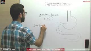 Gastrointestinal hormones  Chapter 6  Biology   عبد الله رضا MD  Rocademia روكاديميا [upl. by Naujit]