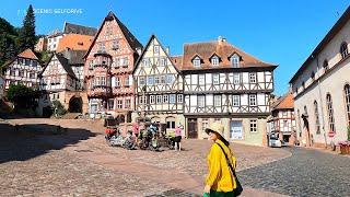 4K Day 1 Miltenberg on Main  Germany Medieval Village Alps road trip [upl. by Elbam]