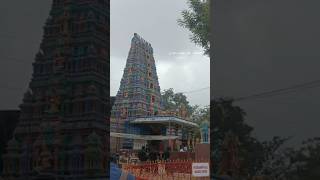 Peddamma Temple ❤❤❤peddammatallitemple jublieehills devotional Temple hyderabad telangana [upl. by Anyak]