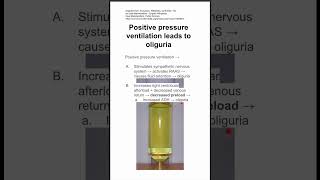 Positive pressure ventilation leads to oliguria [upl. by Servais67]