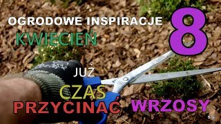 OGRODOWE INSPIRACJE 8  Jak i kiedy przyciąć wrzosy [upl. by Lundquist]