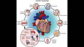 Introduction to signs and symptoms of cardiovascular system diseases [upl. by Adorl]