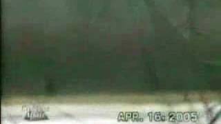 Manitoba Bigfoot  THE ACTUAL FOOTAGE OF THE CREATURE [upl. by Gildas]