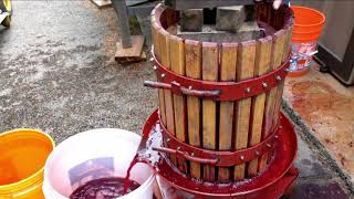 Pressing Grapes [upl. by Perle]