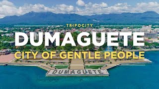 Dumaguete Casaroro Falls Apo Island and More Things to do in Dumaguete Philippines [upl. by Nnaik512]