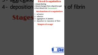 Blood coagulation hemostasis blood coagulation mechanism blood coagulation stages shorts [upl. by Aidnac726]