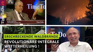 Erschreckende Waldbrände  Revolutionäre integrale Wetterheilung  Timetodo berichtet jetzt [upl. by Adnilak]