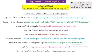 Long term blood flow regulation Angiogenesis collaterals Chapter 17 part 8 Guyton and Hall Phy [upl. by Luanne908]