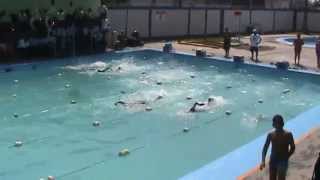 Apertura Curso de Natación Verano 2015 [upl. by Aibun]