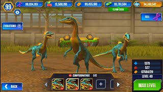 NEW COMPSOGNATHUS UNLOCKED   JURASSIC WORLD THE GAME [upl. by Ayanahs]