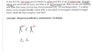 Genetics not a problem Xlinked genes [upl. by Ecneralc]