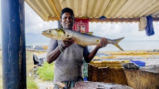 Never Seen Live Mugil Cephalus Fish Cutting Flathead Gray Mullet  Fastest Fish Cutting Skills [upl. by Strohbehn]