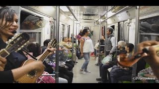 Zapateando el Querreque en el Metro de la Ciudad de México CDMX con el Trío 3 en Línea [upl. by Tony]