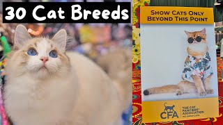 Meet Every Cat Breed at the Largest Cat Show in the World CFA International 2023  The Cat Butler [upl. by Ardle]