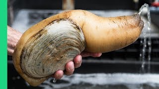 Exotic CHINESE FOOD Feast in Guangzhou 250 Snake Geoduck Sashimi and Sea Cucumber [upl. by Aicemed]