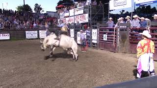 2019 Champion Bull Rider Levi Berends [upl. by Snave955]