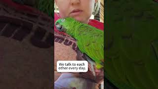 Parrots are such sticklers funny foryou parrot pets birds [upl. by Ahsenroc]