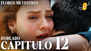 Flores Silvestres  Yaban Çiçekleri – Capítulo 12  Doblado al Español [upl. by Tdnerb]