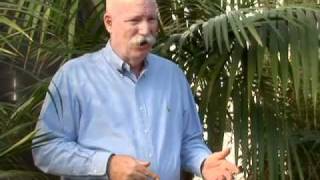 How to Care for Palm Plants [upl. by Meehaf]