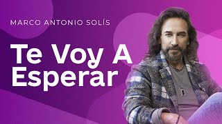 Marco Antonio Solis  Te voy a esperar  Lyric video [upl. by Eenafit299]