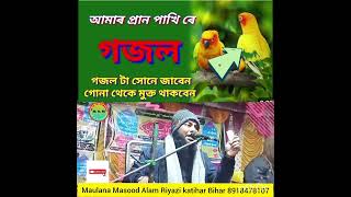 Maulana Masood Alam Riyazi katihar Bihar আমার প্রানের পাখিরে আমার মনের ময়না [upl. by Musette]