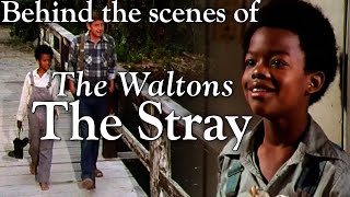 The Waltons  The Stray episode  behind the scenes with Judy Norton [upl. by Ranee876]