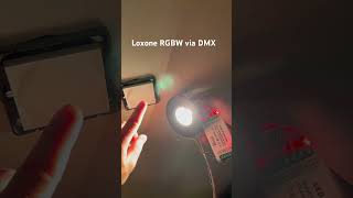 Loxone RGBW DMX [upl. by Nosredneh570]