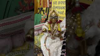 Mandir me betha shyam gamle me bethi tulsatulsishyamladdugopaltrendingtulsibhajanytshotsviral [upl. by Gloria]