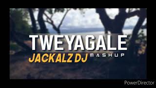 DJ JACKALZ  TWEYAGALE X FLIRT REMIX 2020 [upl. by Shewmaker]