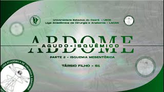 ABDOME AGUDO ISQUÊMICO  PARTE 2  LACANFLIX [upl. by Yhtomot]