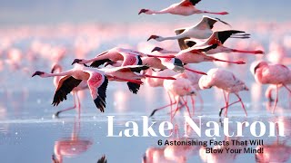 6 Astonishing Lake Natron Facts That Will Blow Your Mind [upl. by Wrench]