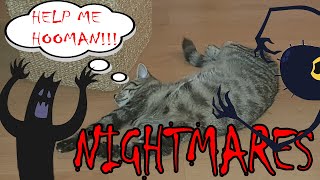 Do cats have nightmares [upl. by Armyn]