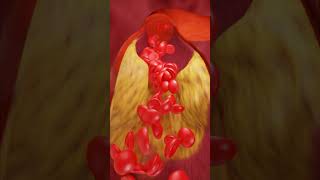 How Blood Flows Inside Your Body ANIMATION [upl. by Marie-Jeanne428]