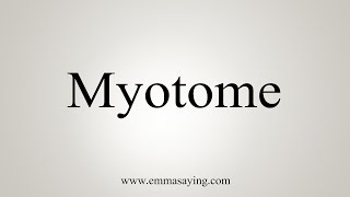 How To Say Myotome [upl. by Kelly516]