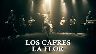 Los Cafres  La Flor video oficial [upl. by Yenolem]